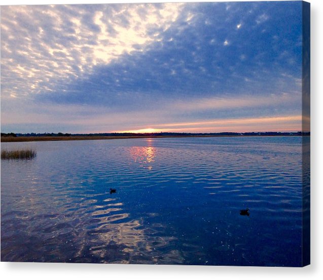 Duck Season - Canvas Print