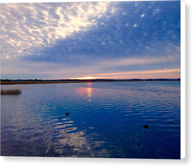 Duck Season - Canvas Print