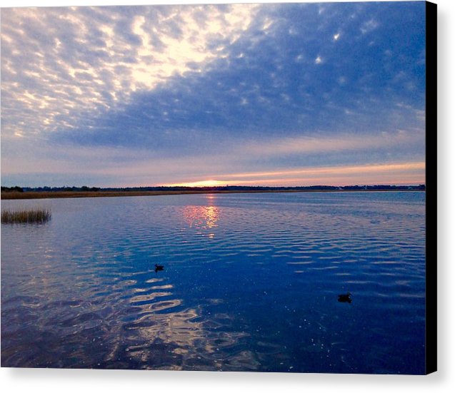 Duck Season - Canvas Print